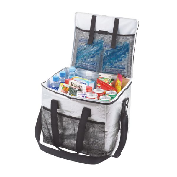 NEVERA FLEXIBLE 30L PLATA